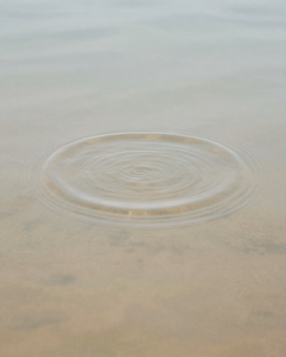Ruhige Makroaufnahme einer einzelnen Welle auf heller, stiller Wasseroberfläche.